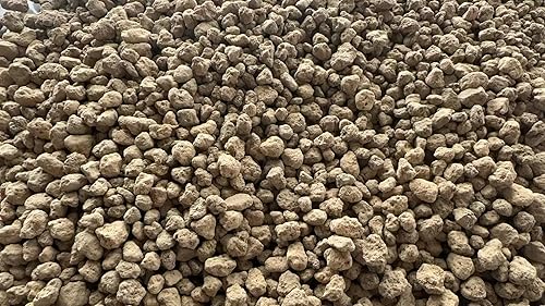 Miniatura 12 de Suelo Japonés Súper Duro para Bonsái Akadama – Grano Pequeño (2 libras) Ideal para Plantar Bonsáis Pequeños, Cobertura Superior, Plantas