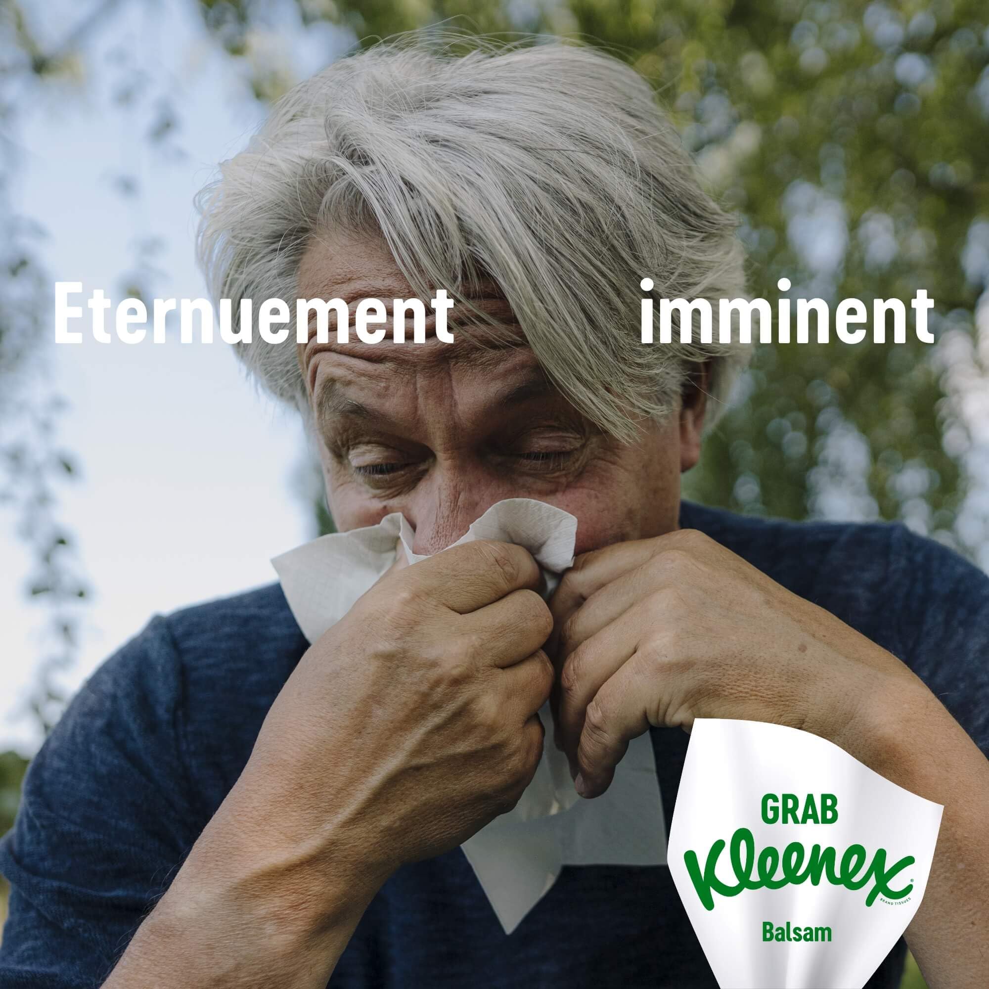 Kleenex Balsam estuches de pañuelos de papel Bálsamo AU Calendula 16 paquetes de 12 paquetes