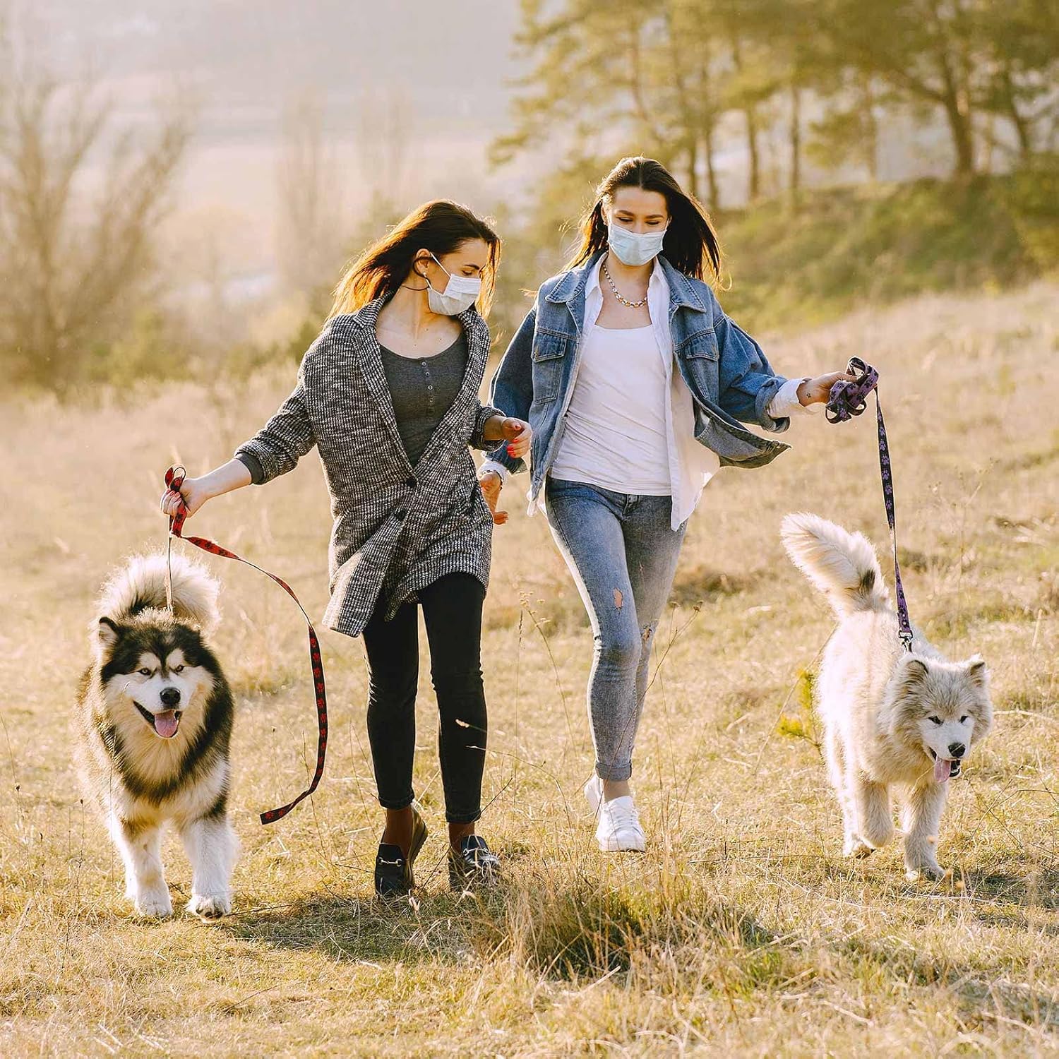 FGZ Women Thin Cotton Socks Soft Cozy Socks Cute Ankle Crew Socks 5 Pairs - Image 3