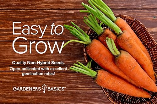 Miniatura 4 de Semillas de zanahoria para plantar - Scarlet Nantes - es una gran variedad de verduras no transgénicas, 0.07 onzas de semillas ideales para