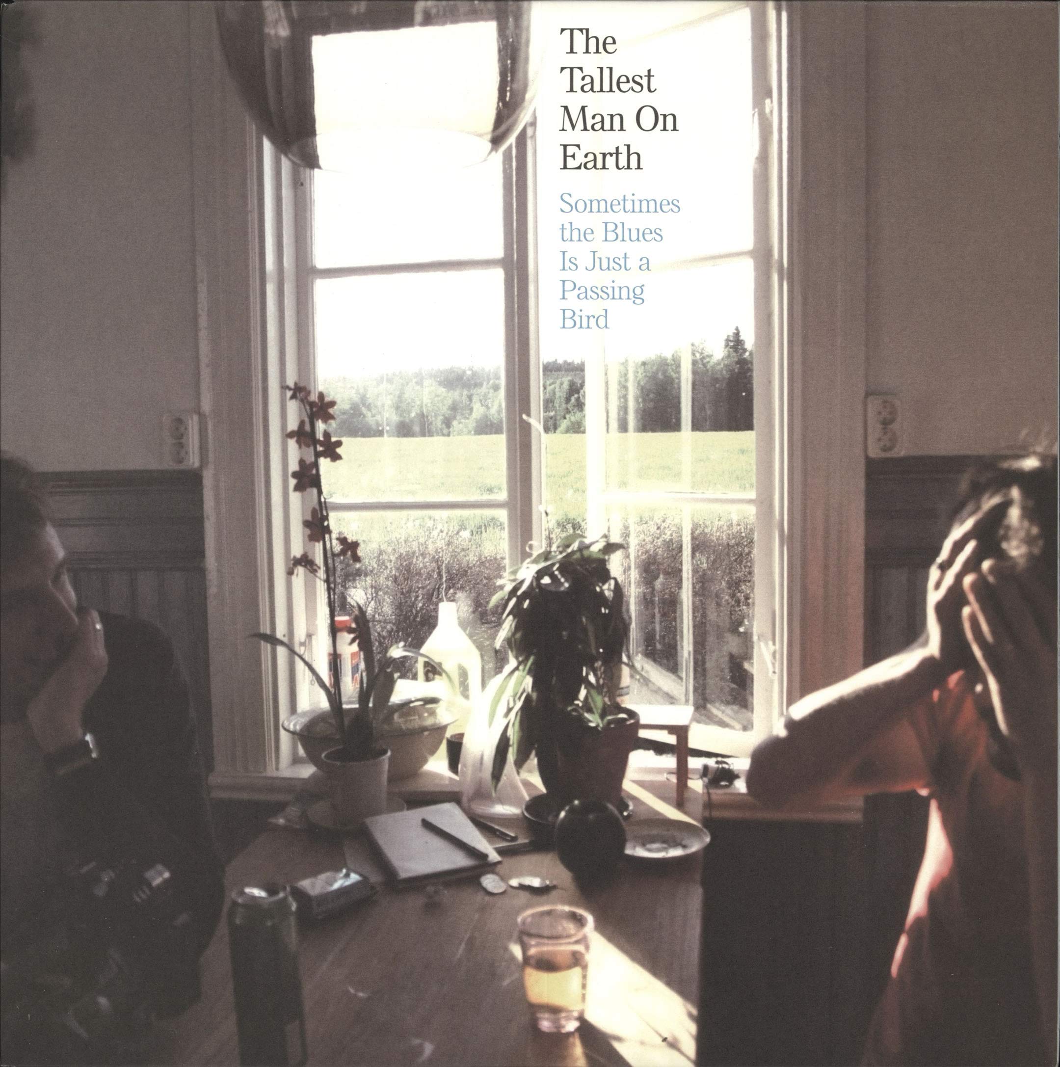 Sometimes The Blues Is Just A Passing Bird [VINYL]