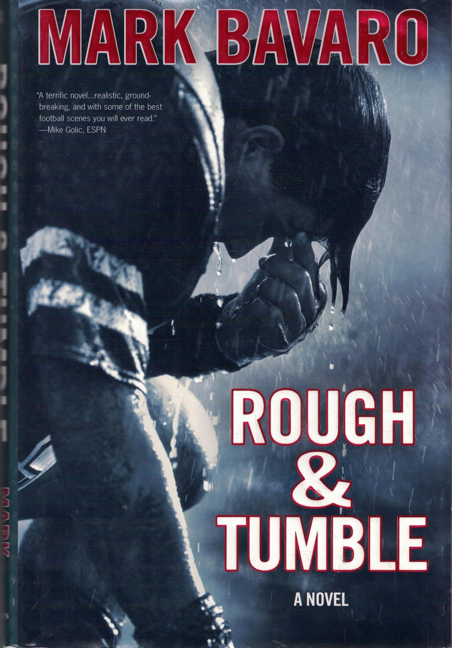 Buy Rough & Tumble: A Novel — BookShops.in