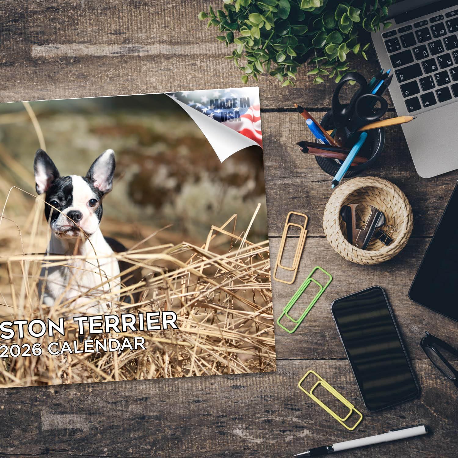 Calendario 2024 2025 Boston Terrier – Calendario mensual de pared de raza de perro – 12 x 18 pulgadas abierto – Papel grueso que no se corre – Regalo – Calendario académico para profesores,