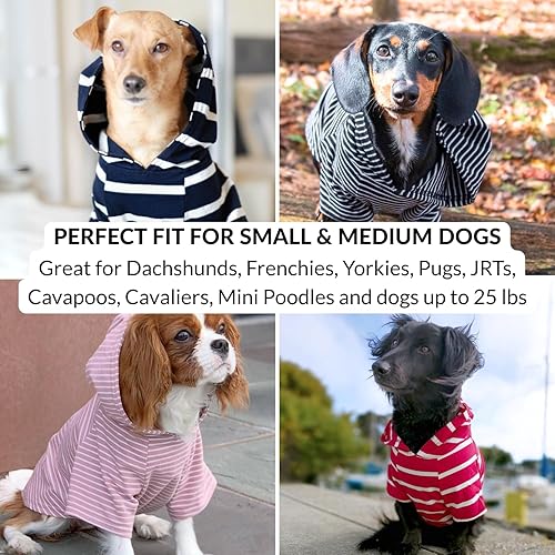 Miniatura 8 de DJANGO Sudadera con capucha para perro y suéter súper suave y elástico con cintura elástica y portal de correa (S, rojo)