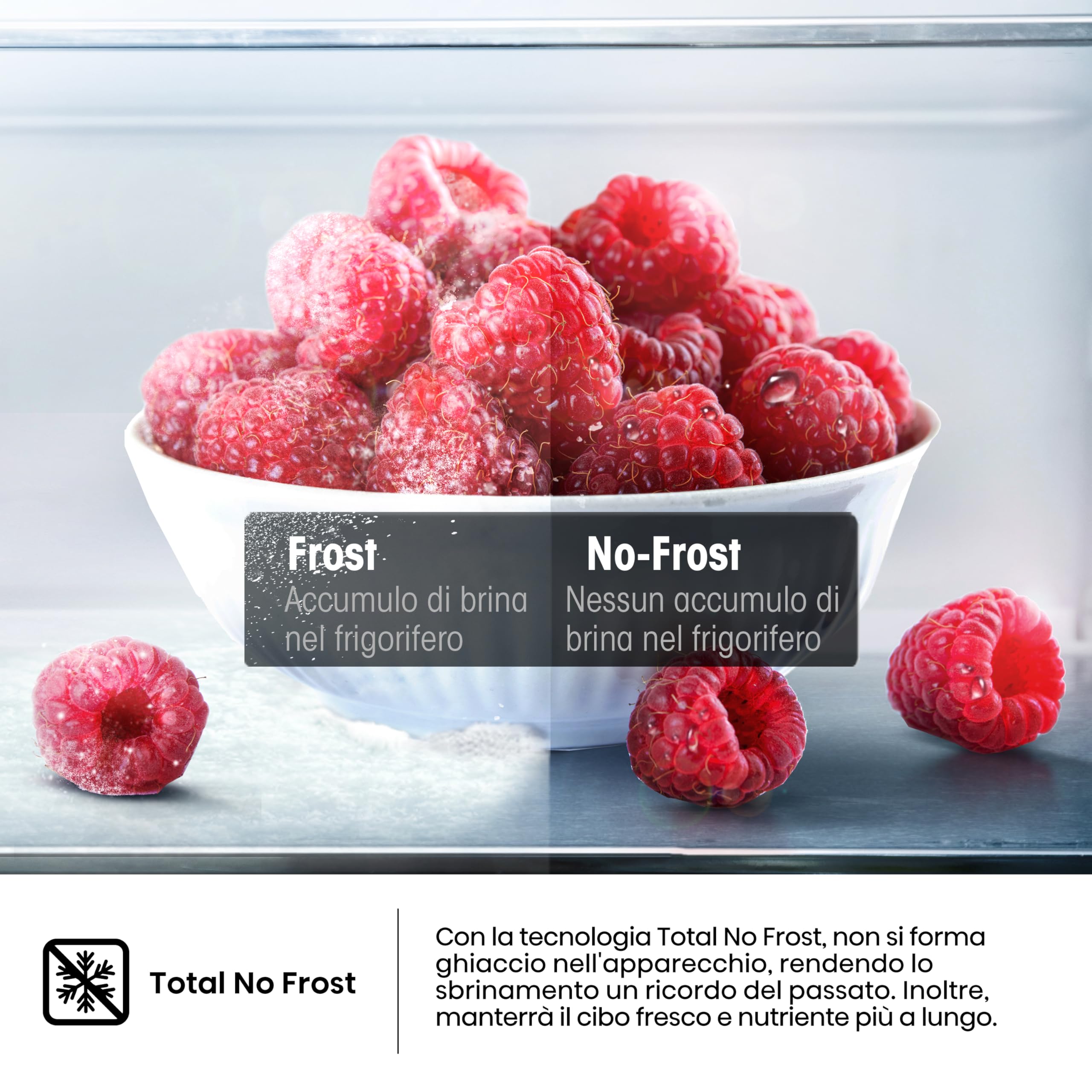 Hisense FV245N4AW2 Freezer Verticale, Total No Frost, 194 L, Bianco, Porte reversibili