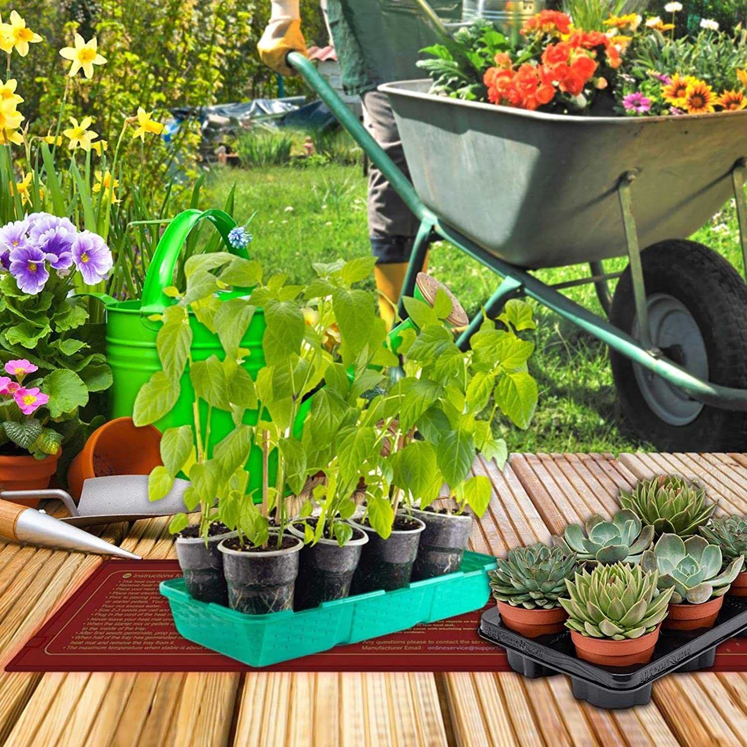 Tapis chauffant pour semis, propagateur chauffé pour plantes de 10 cm × 52,5 cm avec contrôleur de thermostat, tapis chauffant pour reptiles, coussin chauffant imperméable pour semis pour plateau de