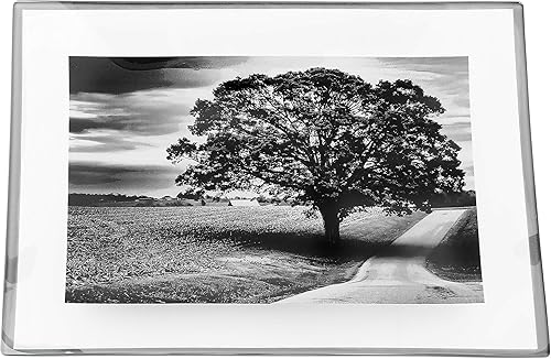 Miniatura 2 de GAC - Bandeja rectangular de vidrio templado con diseño único de paisaje en patas de bola de vidrio, 8 x 12 pulgadas, resistente a la rotura, apta