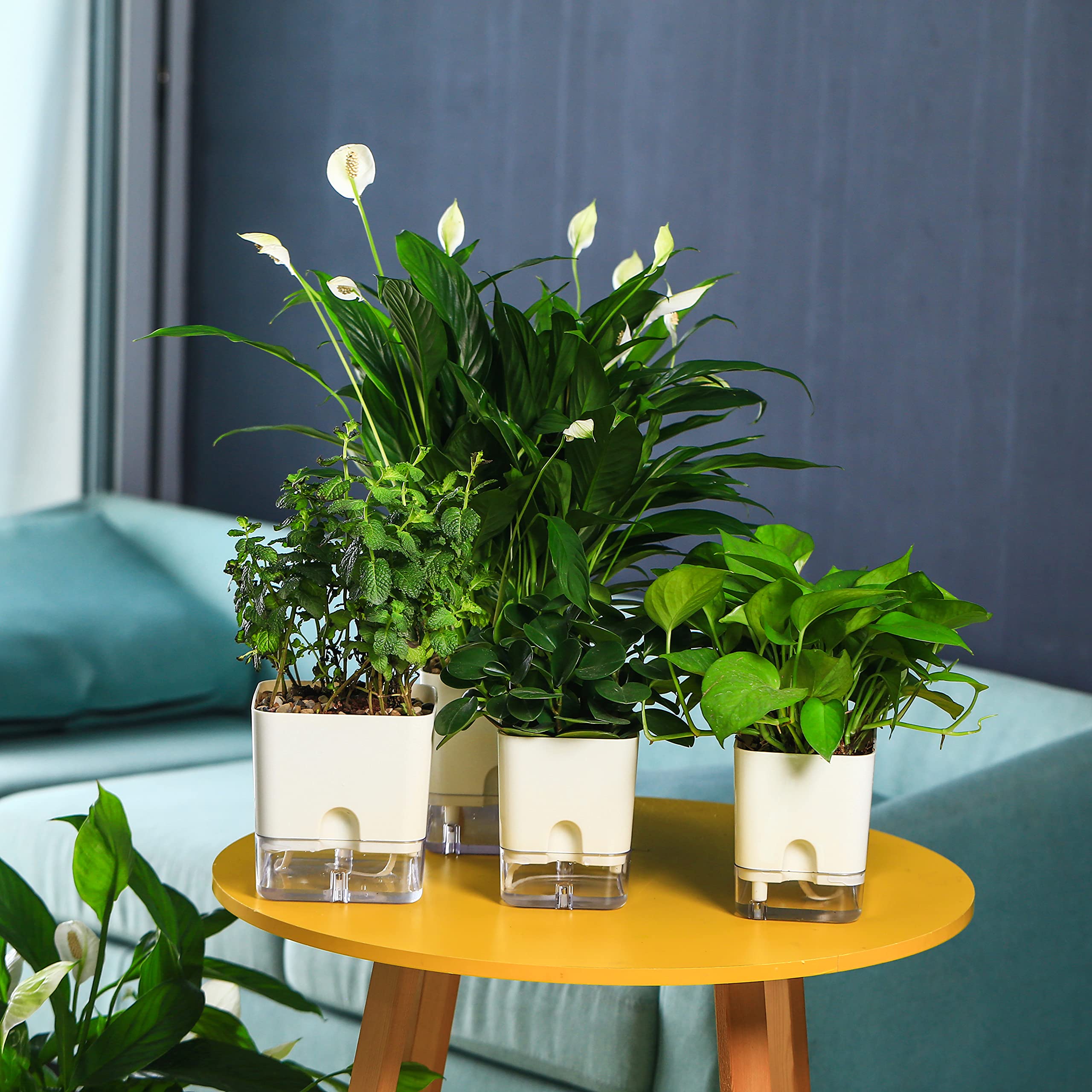 Snapklik.com : Planterhoma 6 Pack-5.5 Inch Self Watering Plant Pots For ...