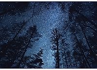 Vista 2 de wall26 - Papel pintado autoadhesivo, serie de murales grandes para pared - 100"x144