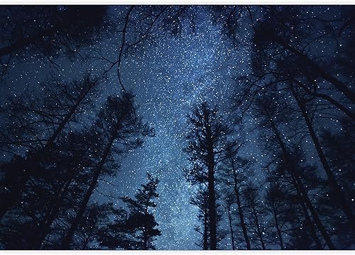 Miniatura 2 de wall26 - Camaleón - Mural de pared extraíble  Papel pintado grande autoadhesivo