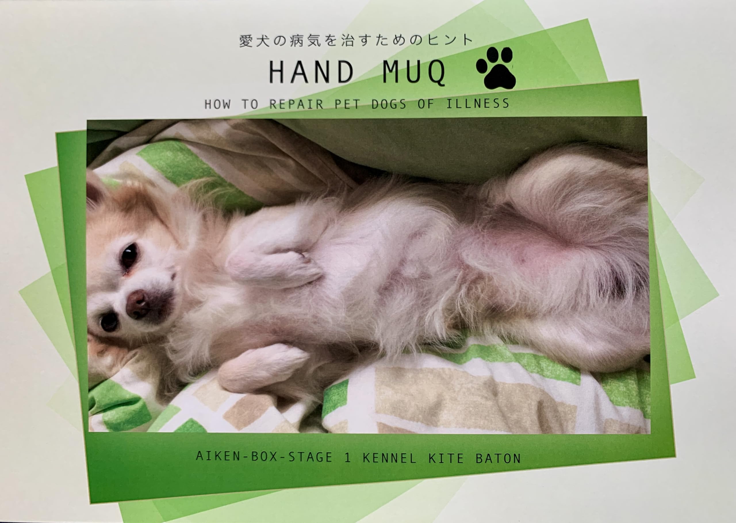 Amazon | 愛犬の病気を治すためのヒント HAND MUQ | ノーブランド品