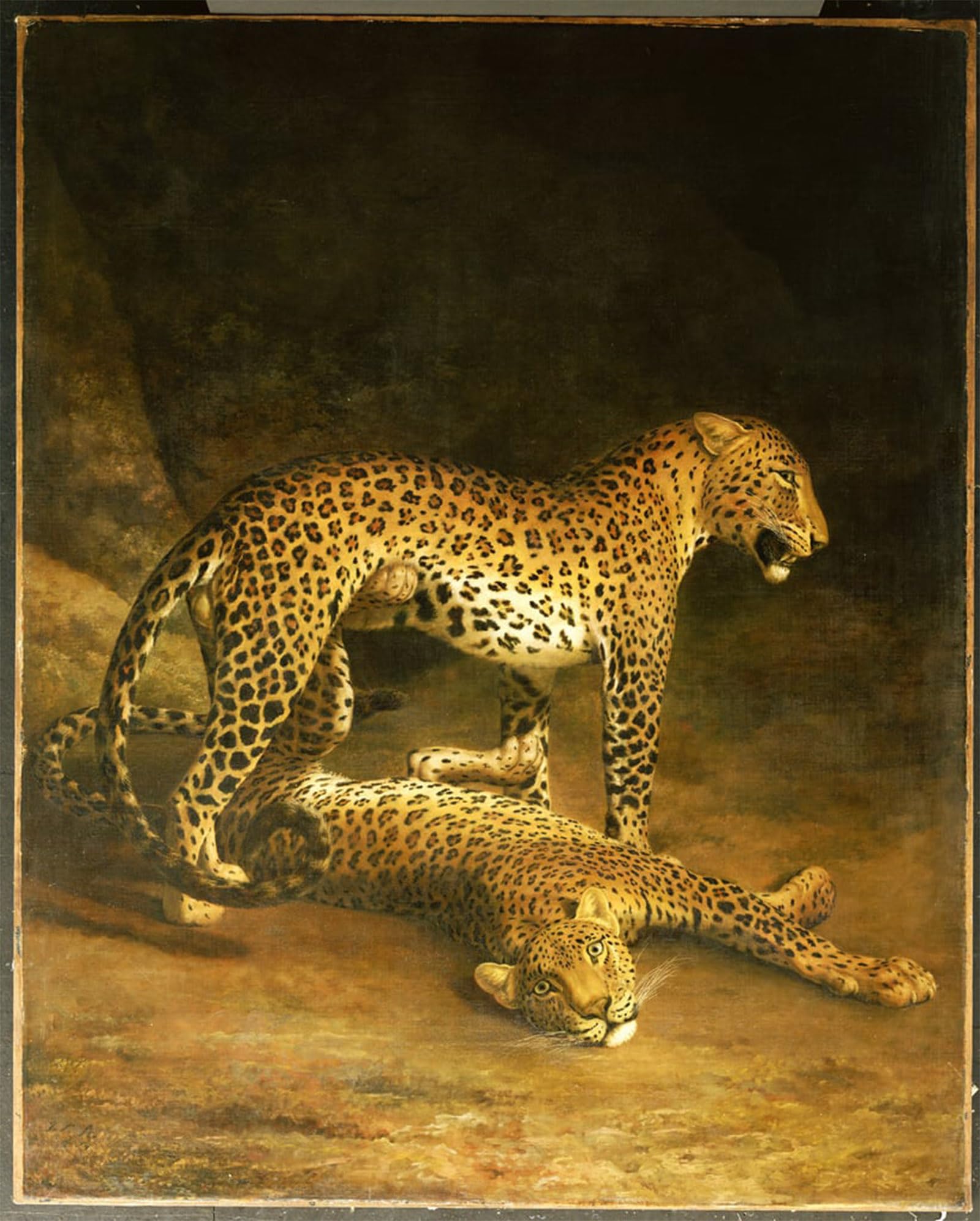 POSTERIIk Famous Modern Artwork Art Mural Two Leopards Lying in the Exeter Exchange by Jacques Laurent Agasse Oil Paintings Pictures for Home Decor 60x90cm