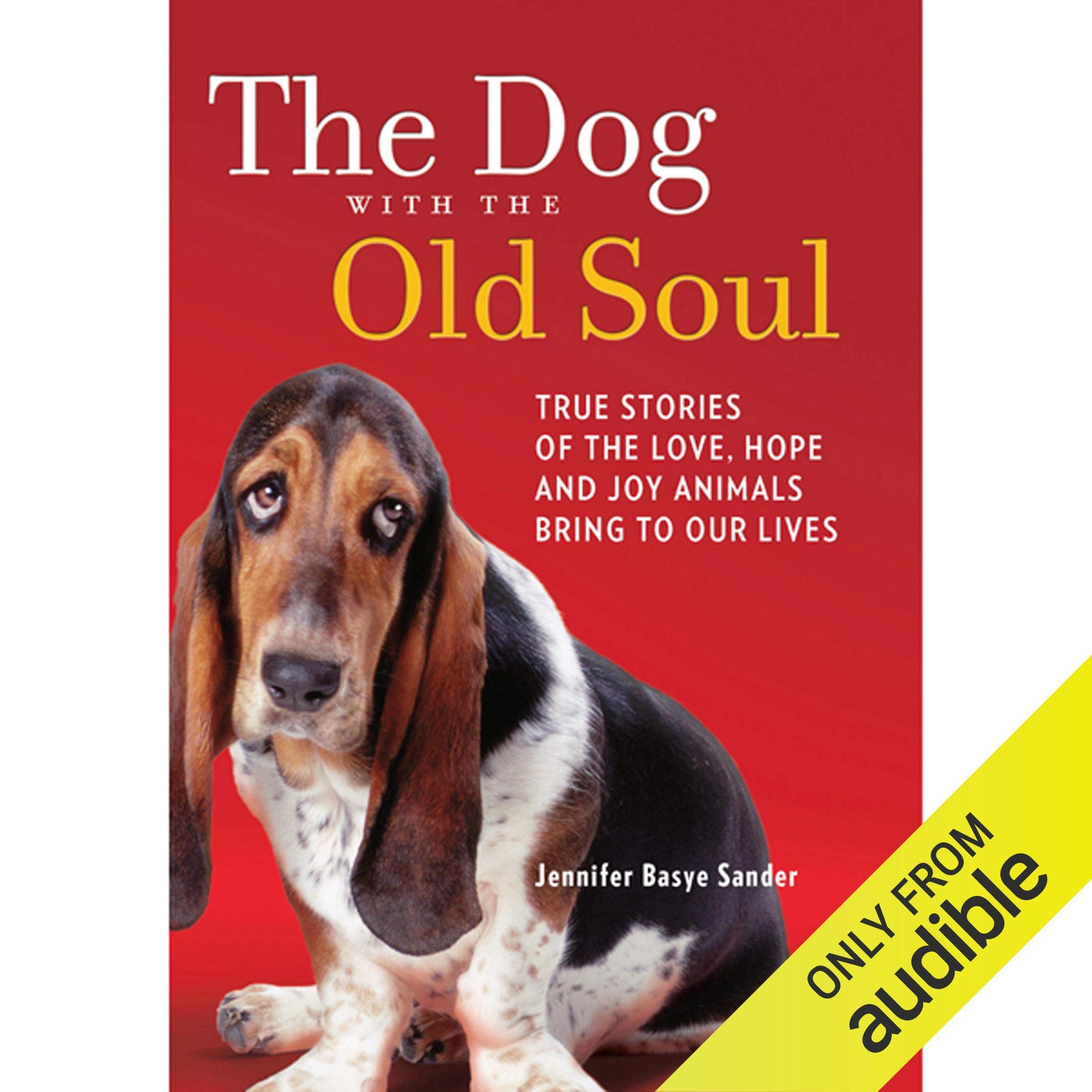 Cover art for The Dog with the Old Soul