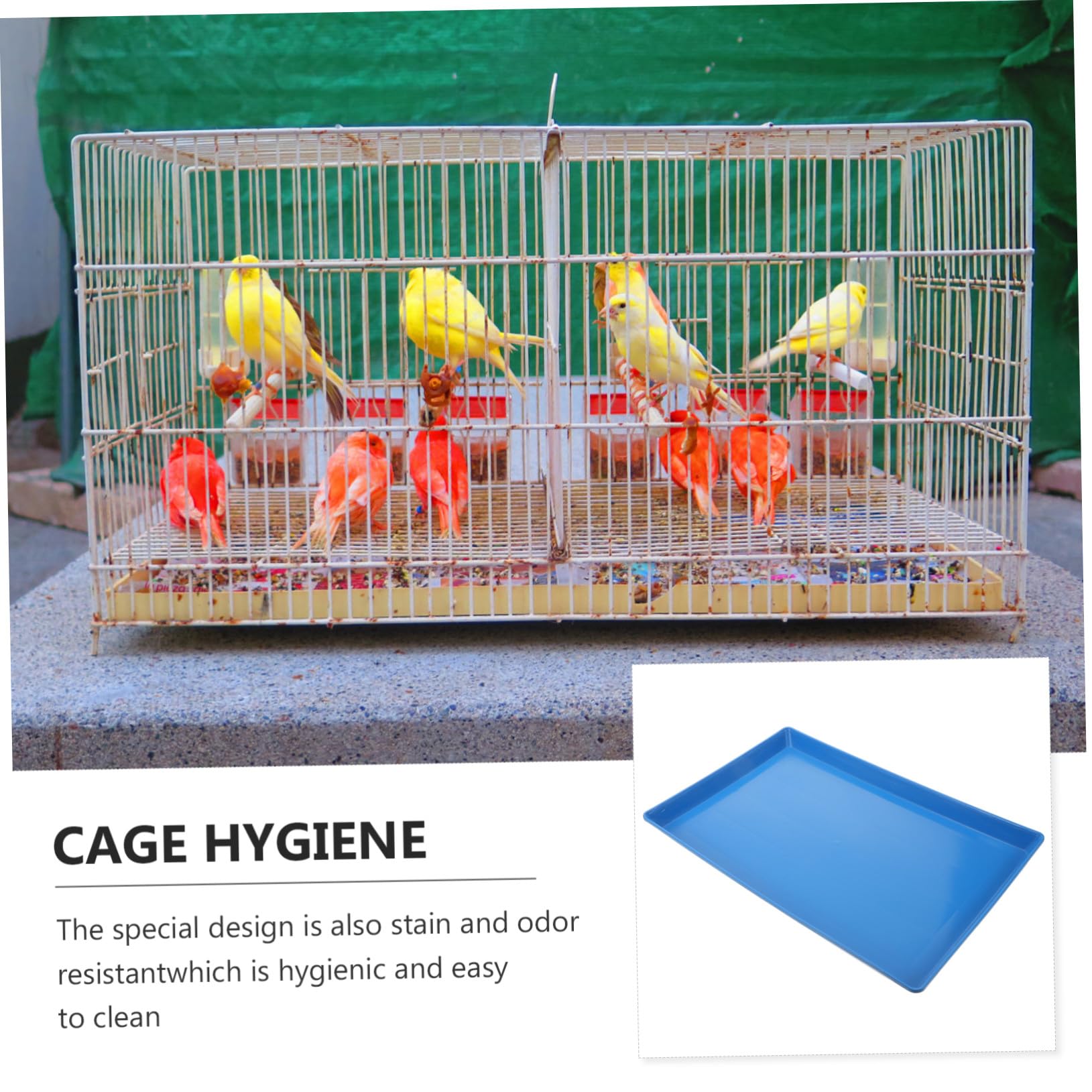 Toddmomy Vassoio per Gabbia Cani e Animali Domestici in Plastica Spessa Fondo Anti-perdita con Rialzato Resistente e Facile da Pulire Ricambio per Lettiera Coniglio e Pappagallo