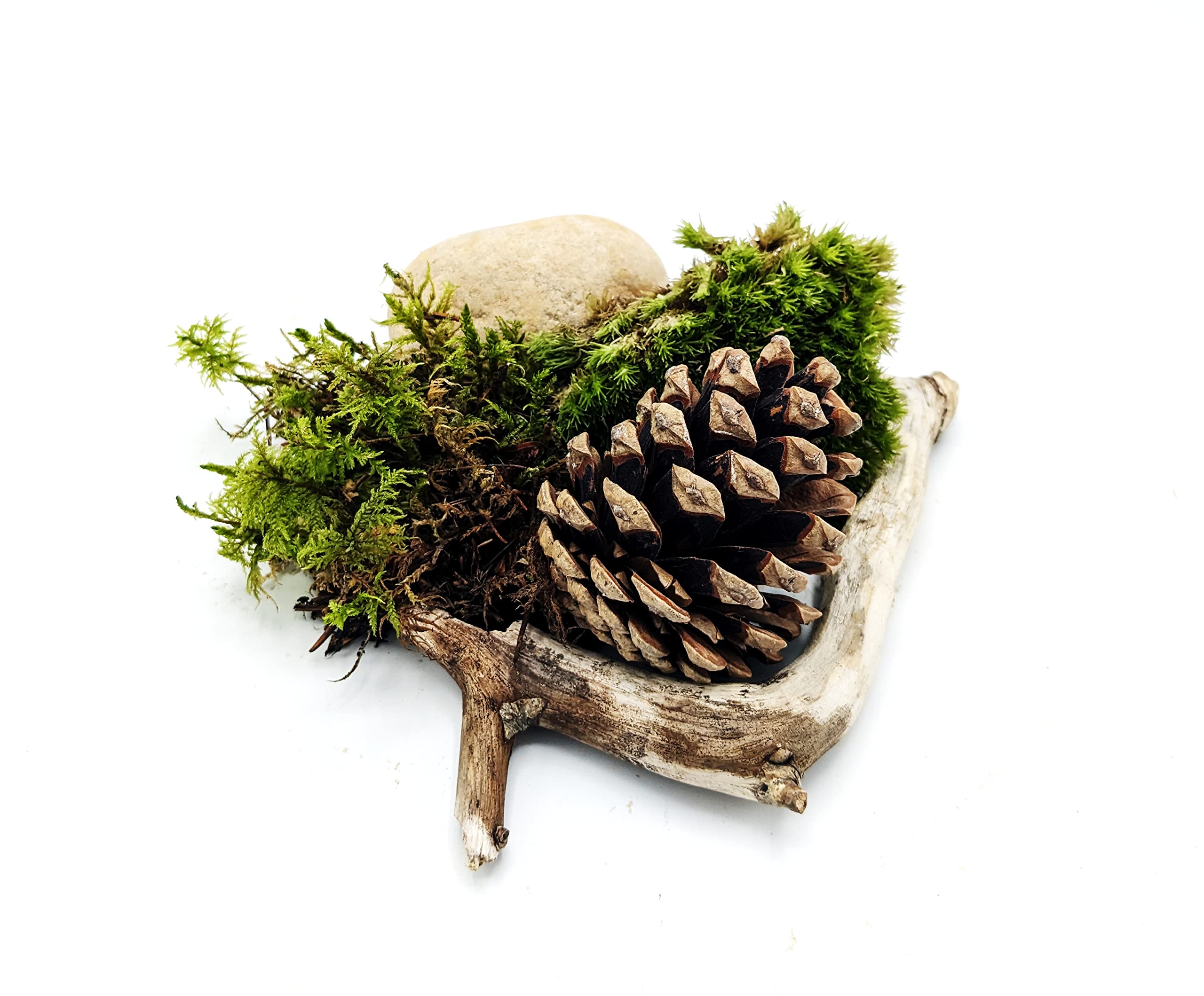 Closed Terrarium Forest Decoration Bundle