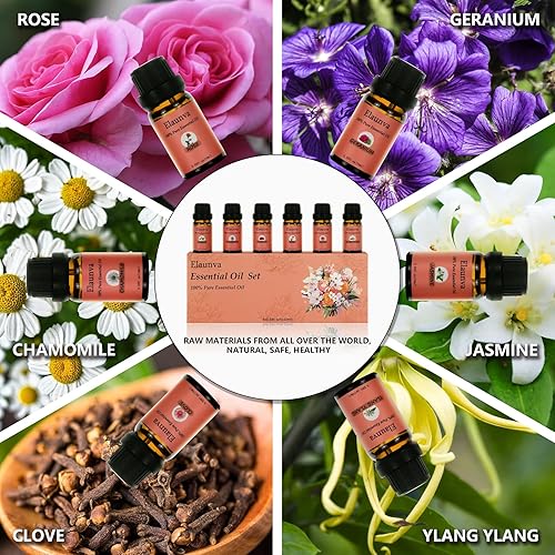 Miniatura 3 de Juego de aceites esenciales, 100% puro natural, 6 aromas (clavomanzanillarosajazmíngeranioylang ylang), para aromaterapia y fragancia del hogar,