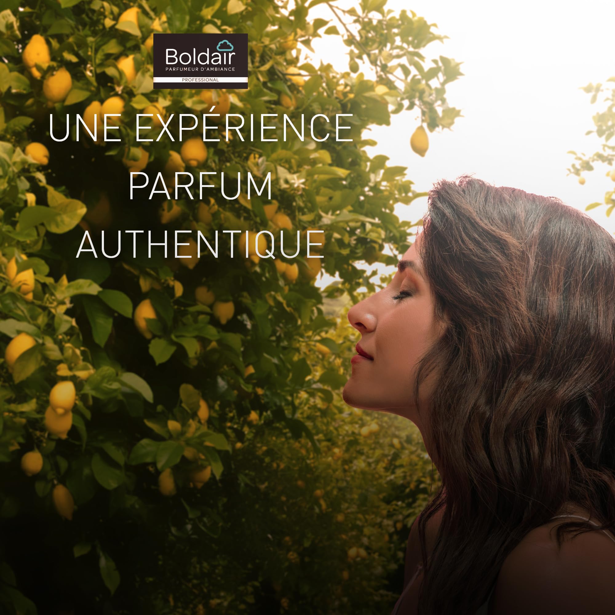 Boldair – profumanti Scorza citronné