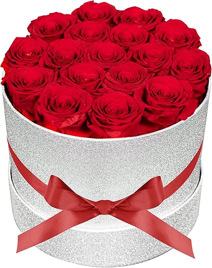 17 Red Flowers in Glitter Box, Birthday Gifts for Women, Preserved Flowers, Mothers Day Roses Gift for Mom