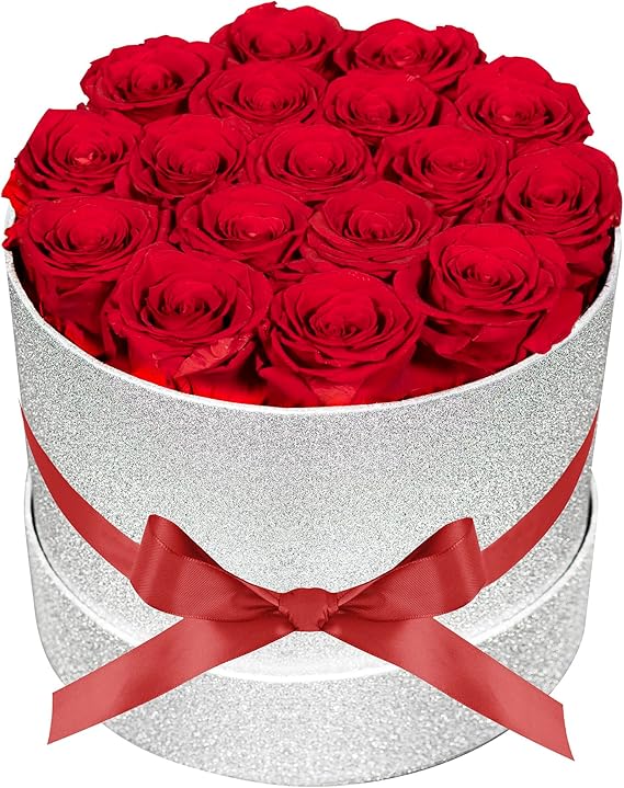 17 Red Flowers in Glitter Box, Birthday Gifts for Women, Preserved Flowers, Mothers Day Roses Gift for Mom