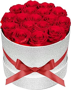 17 Red Flowers in Glitter Box, Birthday Gifts for Women, Preserved Flowers, Mothers Day Roses Gift for Mom