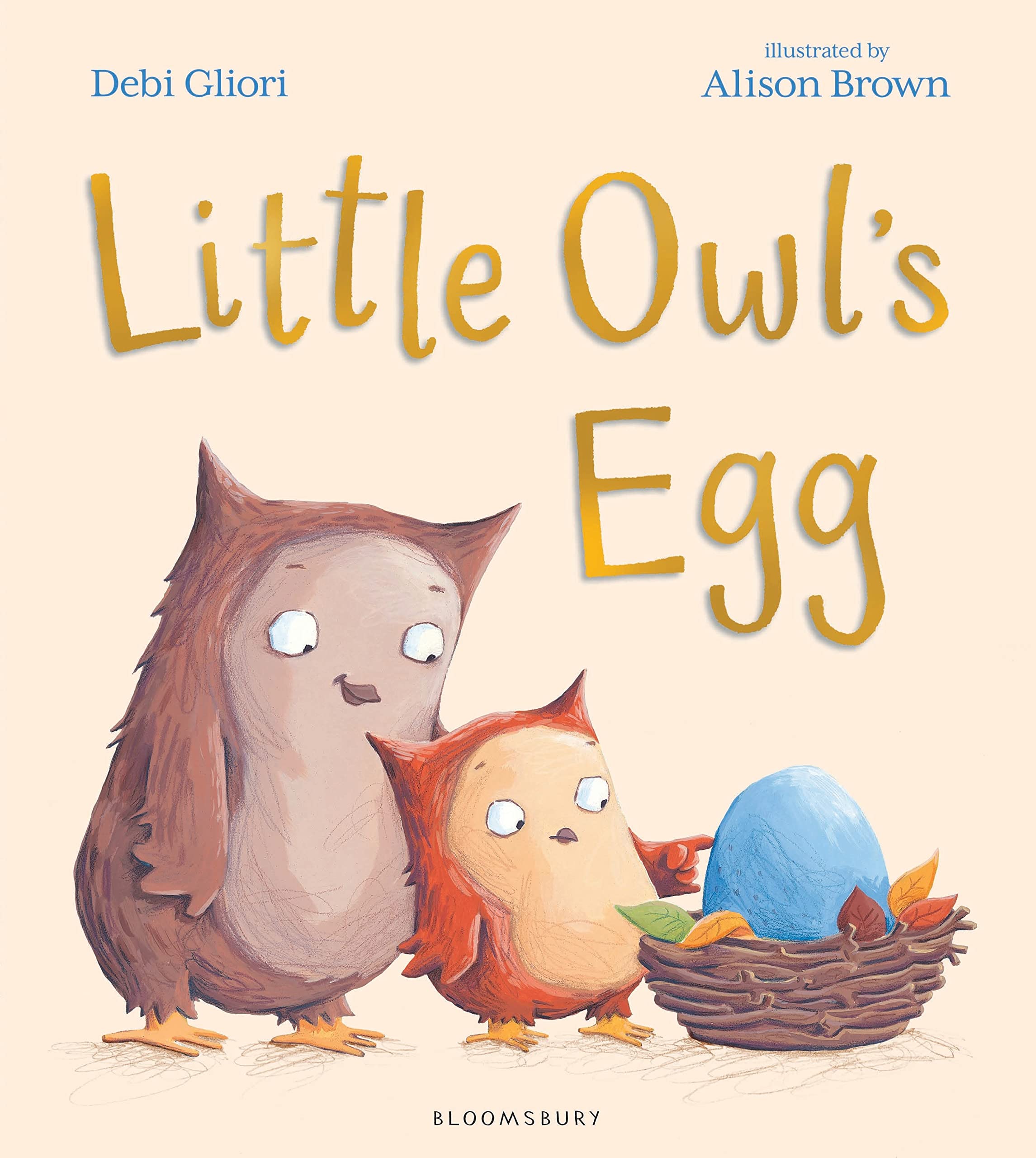Little Owls Egg by Debi Gliori PAPERBACK 9781408853795