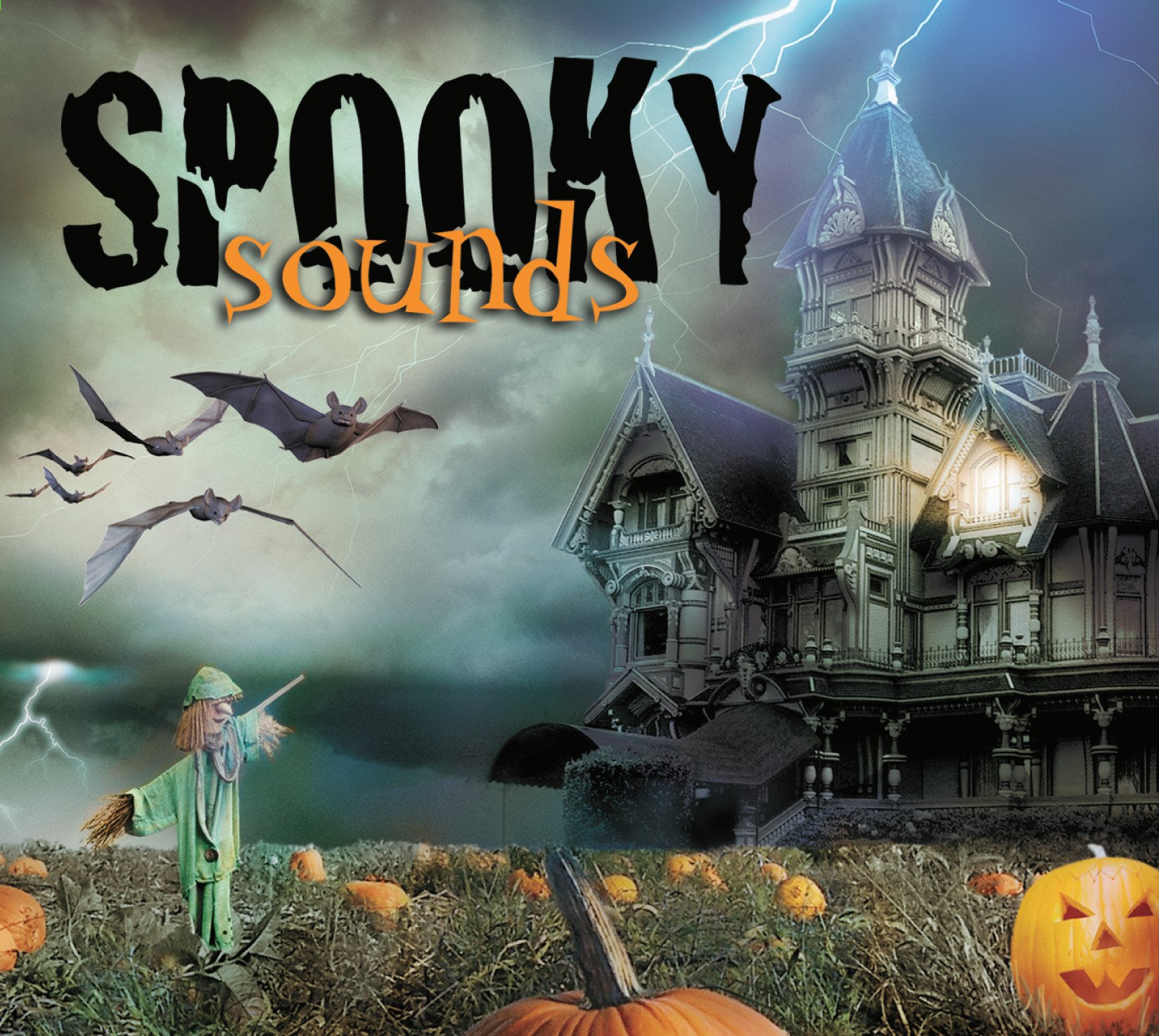 Spooky Sounds [Audio CD] Various Artists