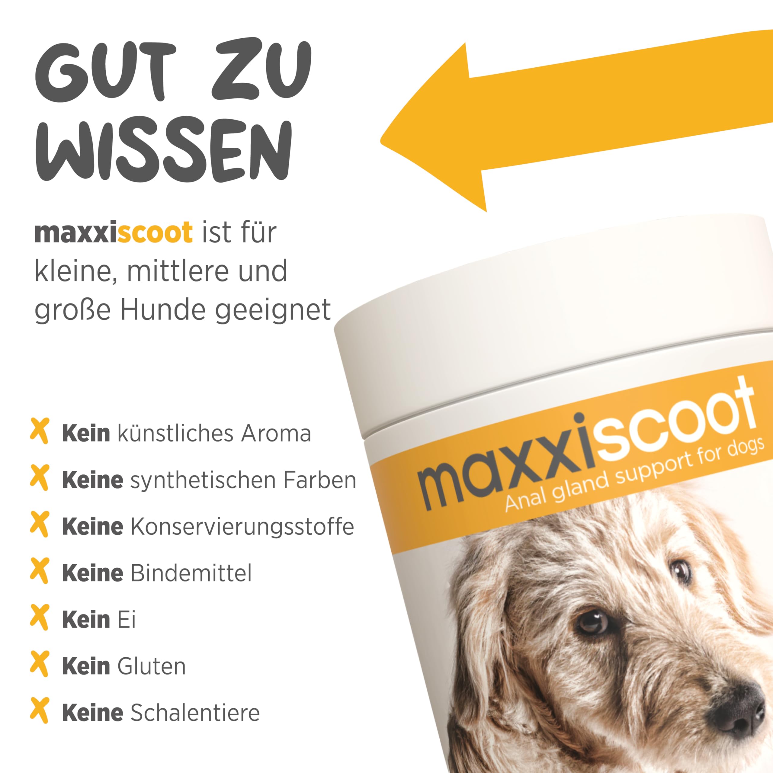 maxxipaws maxxiscoot Analdrüse & Darmgesundheit für Hunde - Nahrungsergänzungsmittel in Pulverform, 140g
