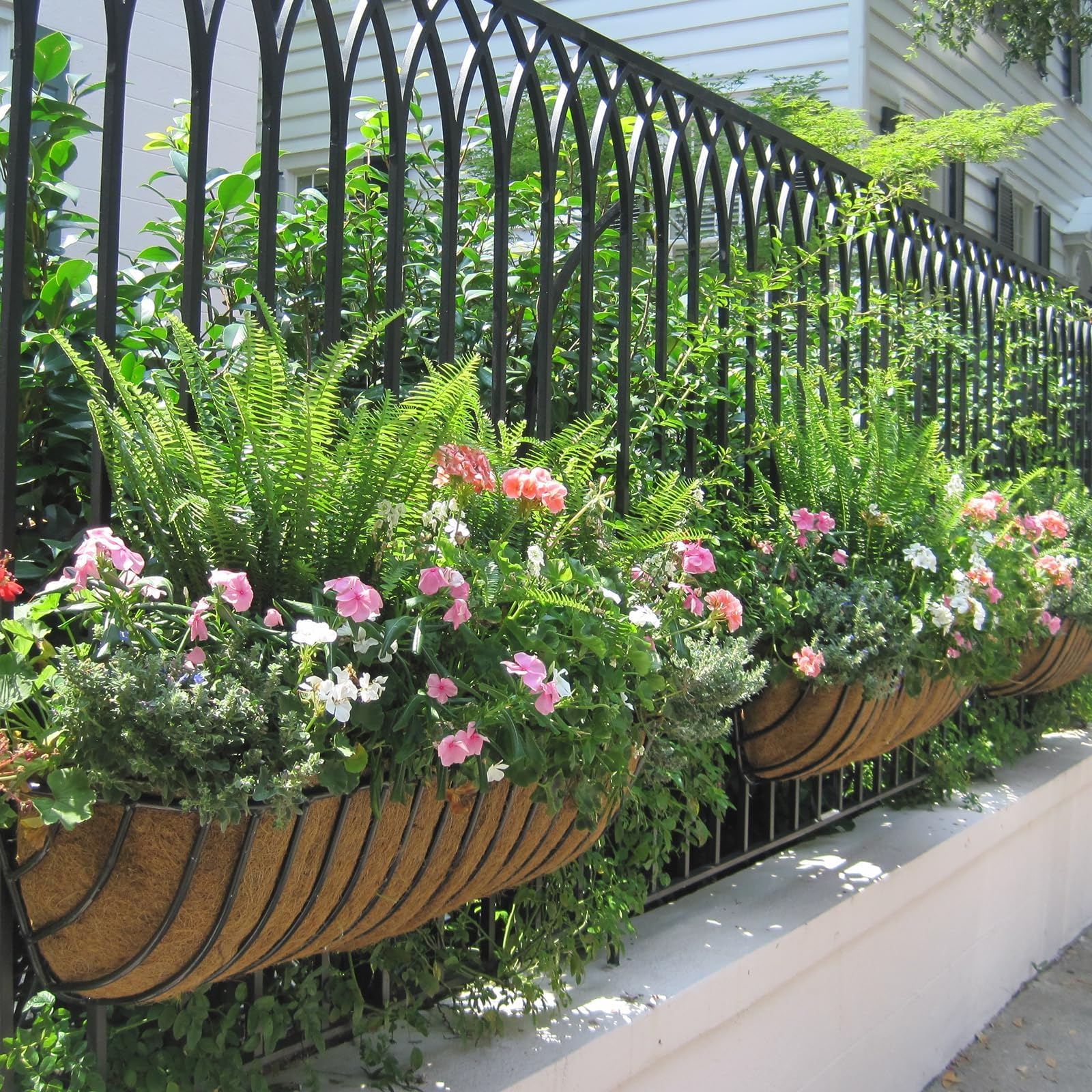 View 6
