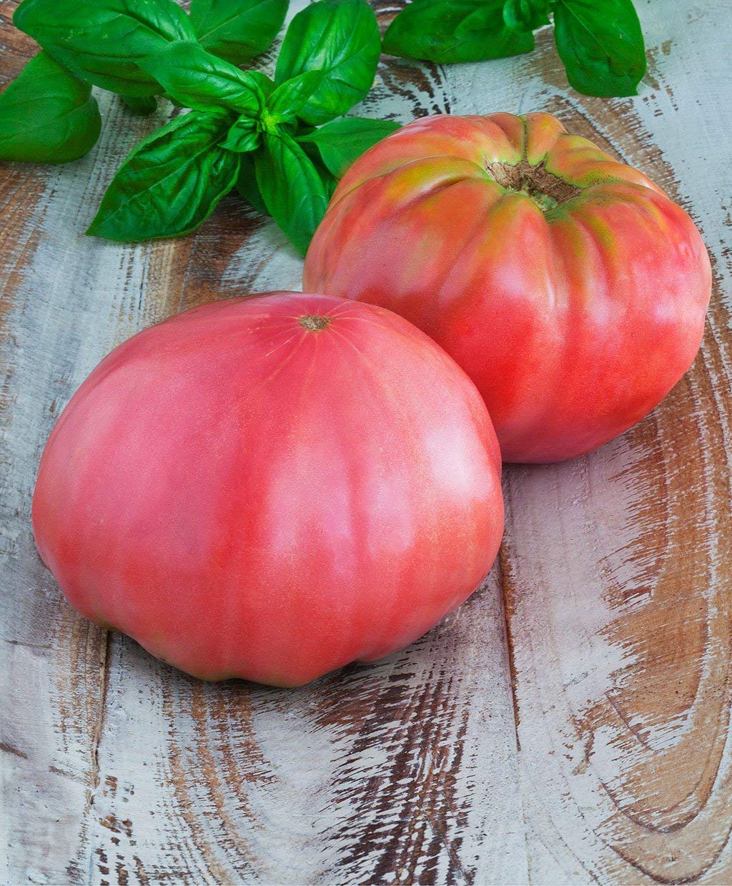 Golden Hills Farm Tomato Brandywine Exotic Vegetable 100 seeds (B07N7PCR4L) Amazon Price History, Amazon Price Tracker