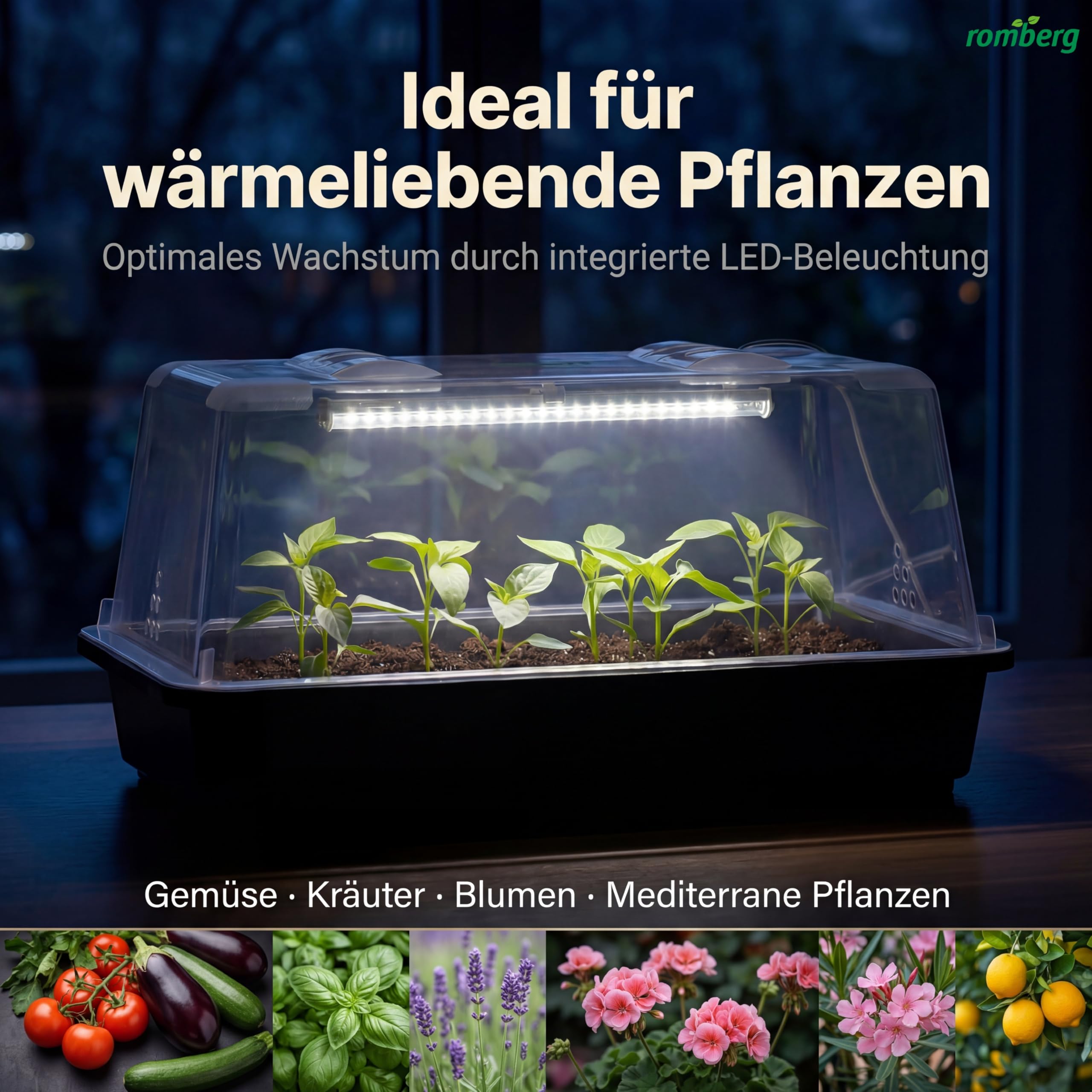 Romberg Lumio M LED Serre très Stable, avec Ventilation et éclairage LED pour Plantes, 38 x 24 x 19 cm, Anthracite