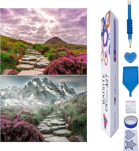Miniatura 14 de BAISITE Kits de Arte de Diamantes para Adultos Principiantes, Paquete de 2 Pinturas Redondas 5D con Diamantes Imágenes Taladro Completo Punto