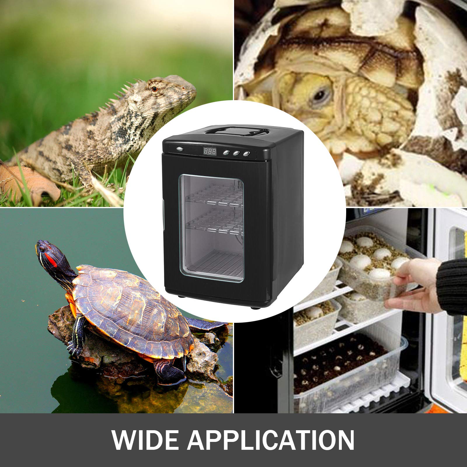 Incubatore per uova di rettile da 25 l, incubatrice per uova di rettile nero da 5 a 60 °C, per riscaldamento scientifico a led per piccoli rettili