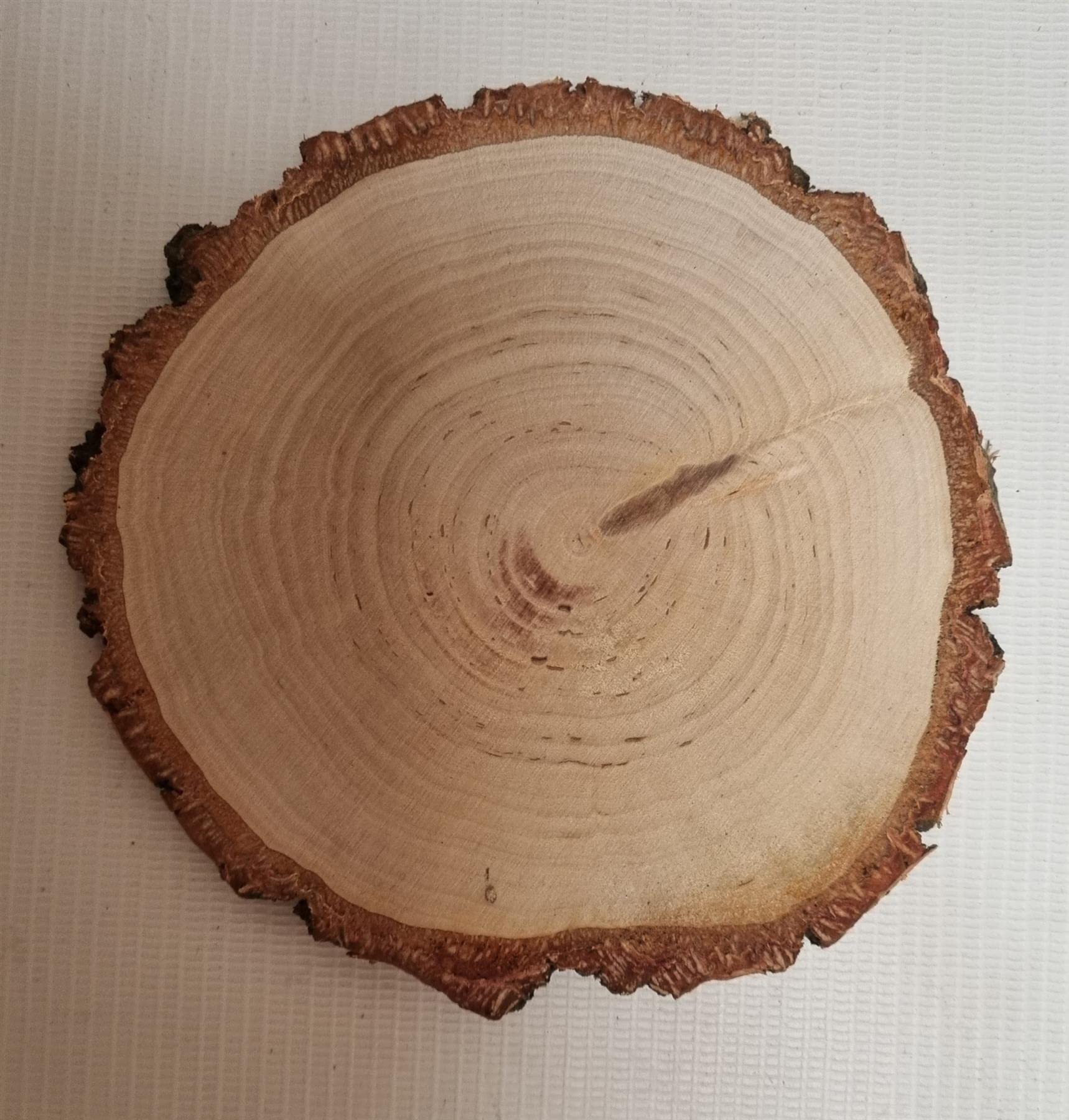 Woodeedoo Wooden Slices Double-Sided Sanded Log Tree Bark Ø 11-12 Cm | Pack Of 3 | Unfinished Round Blank Pieces Art & Crafts Discs Circles Diy Decoration