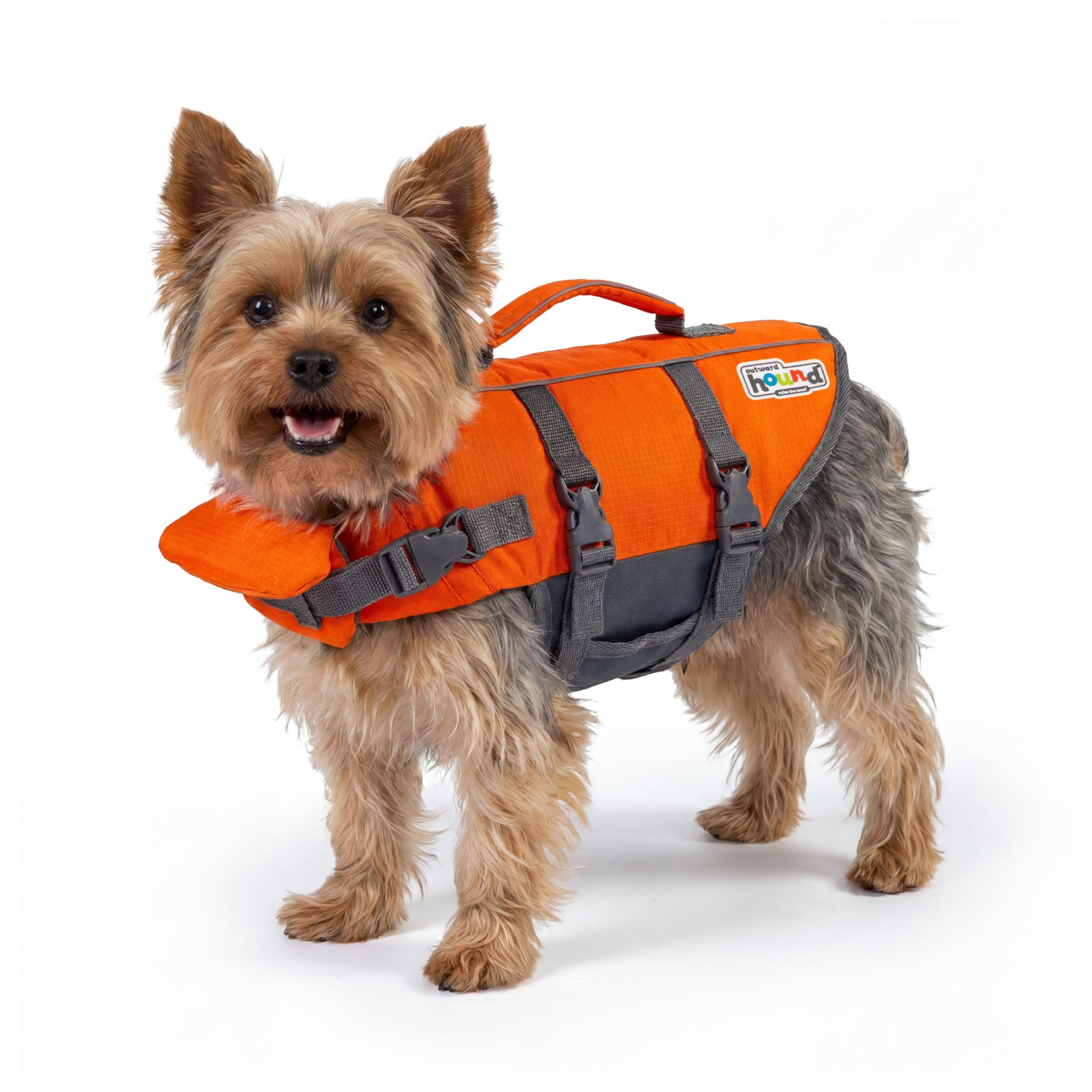 Outward Hound Dog Life Jacket Float Coat  Swimming Float Vest Swim Lifejacket Orange OrangeXs from B&Q