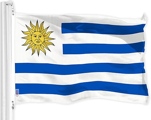 Vista 83 de G128 LiteWeave Pro Series - Bandera de Israel 3 x 5 pies LiteWeave Pro Series impreso poliéster 150D Bandera de país, interior y exterior