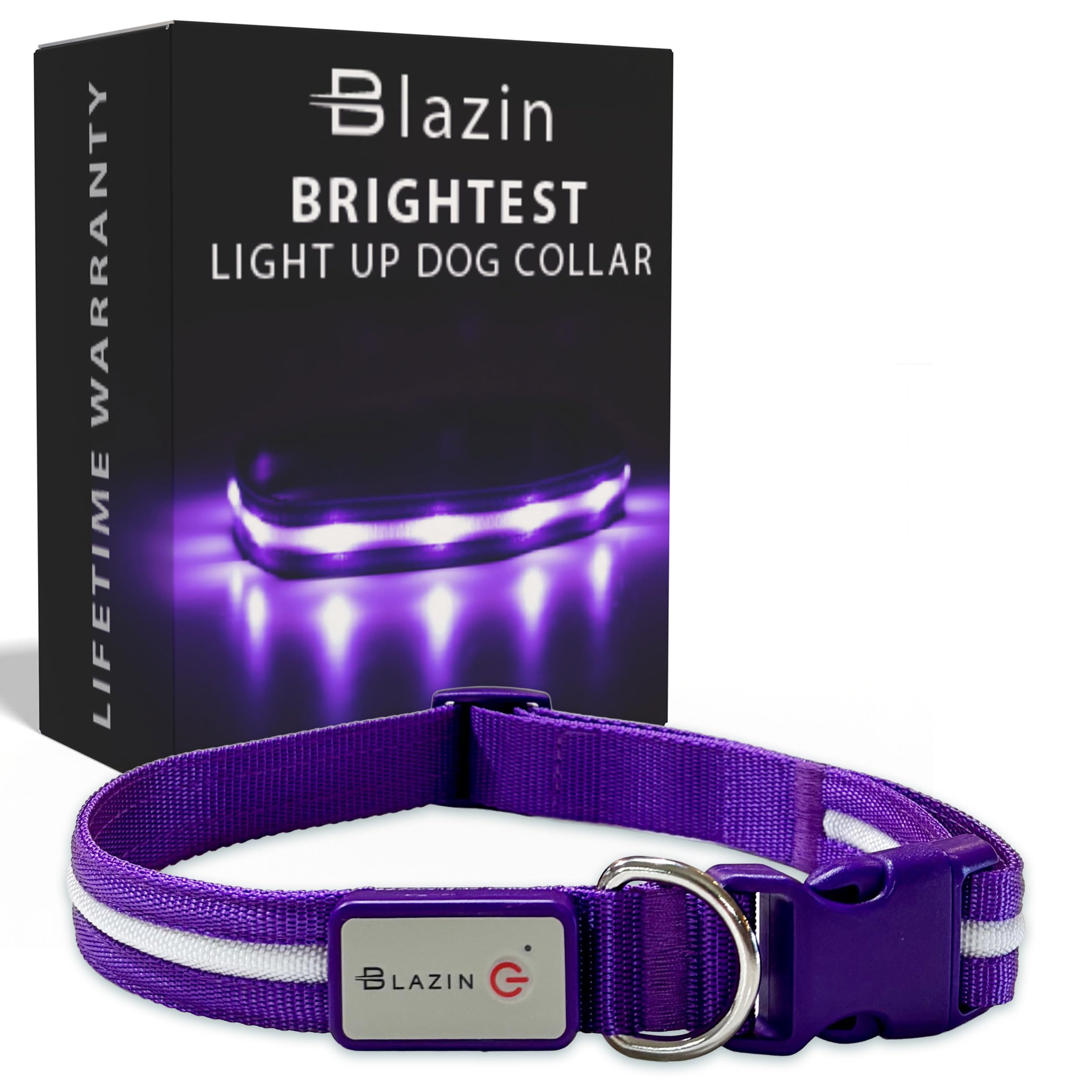 Blazin Light Up Dog Collar