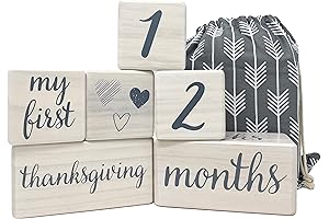 Pondering Pine Baby Milestone Blocks: 'Lil Landmarks for Baby's Milestones