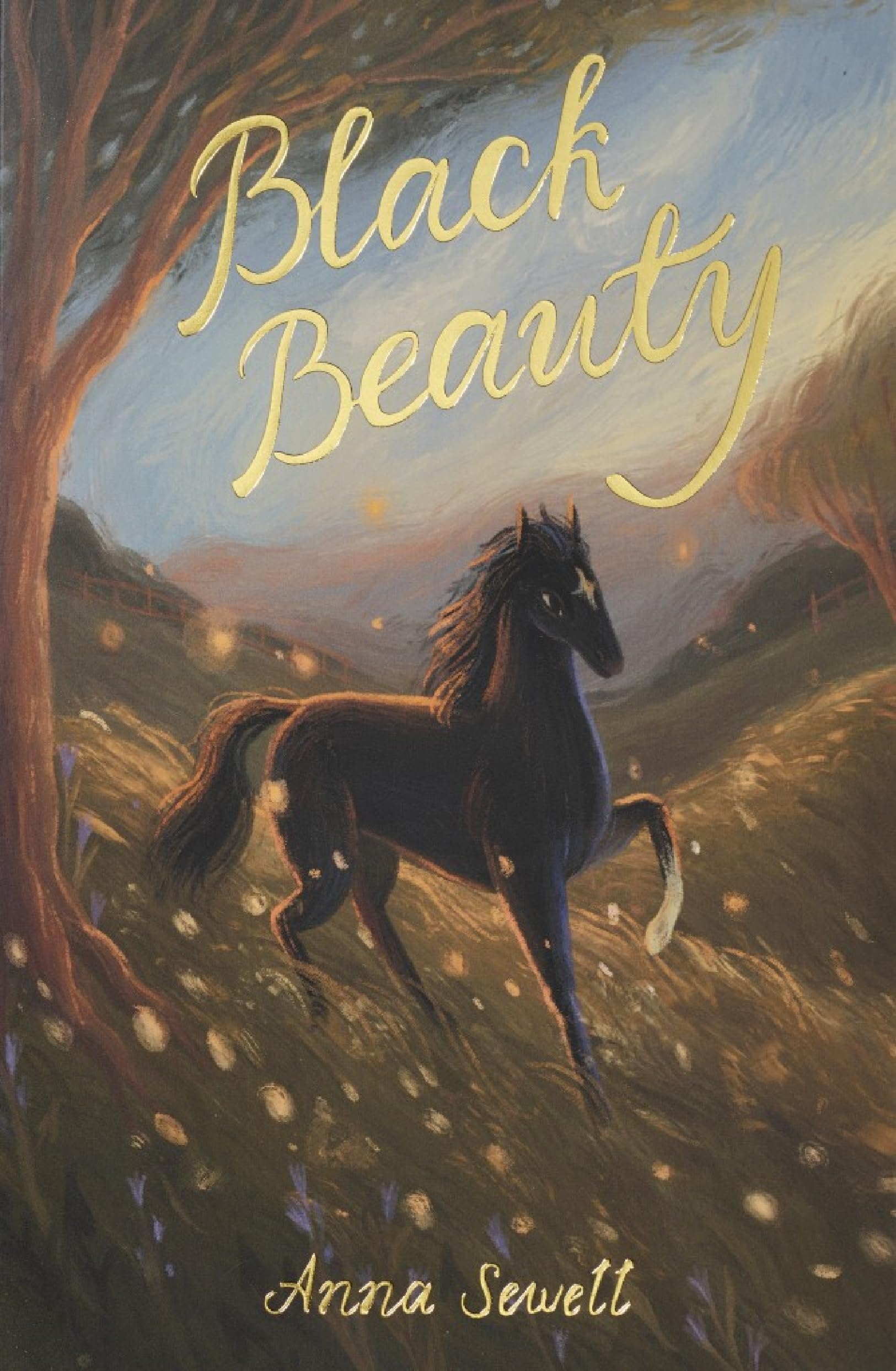 Black Beauty (Wordsworth Children's Classics) Paperback – January 5, 1998
