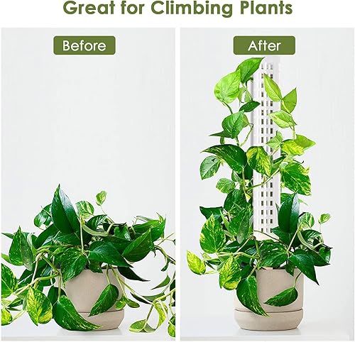 Miniatura 3 de ZWMBYN 2 postes de musgo de plástico para plantas Monstera, postes de plantas para plantas trepadoras en maceta de interior con globos de riego