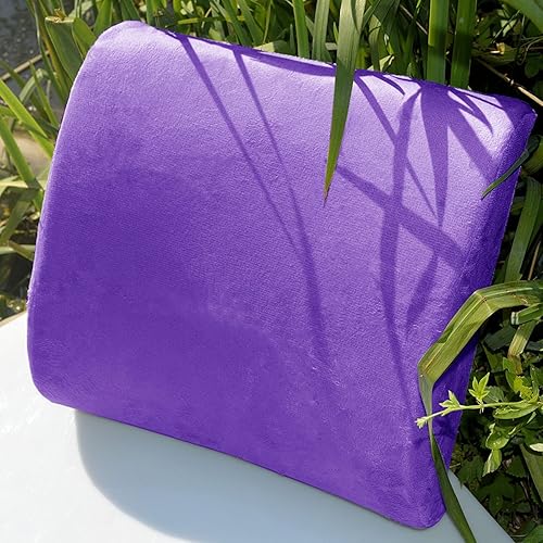 Bookishbunny Cojín de apoyo lumbar de espuma viscoelástica prémium (morado)