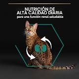 Ver la foto 7