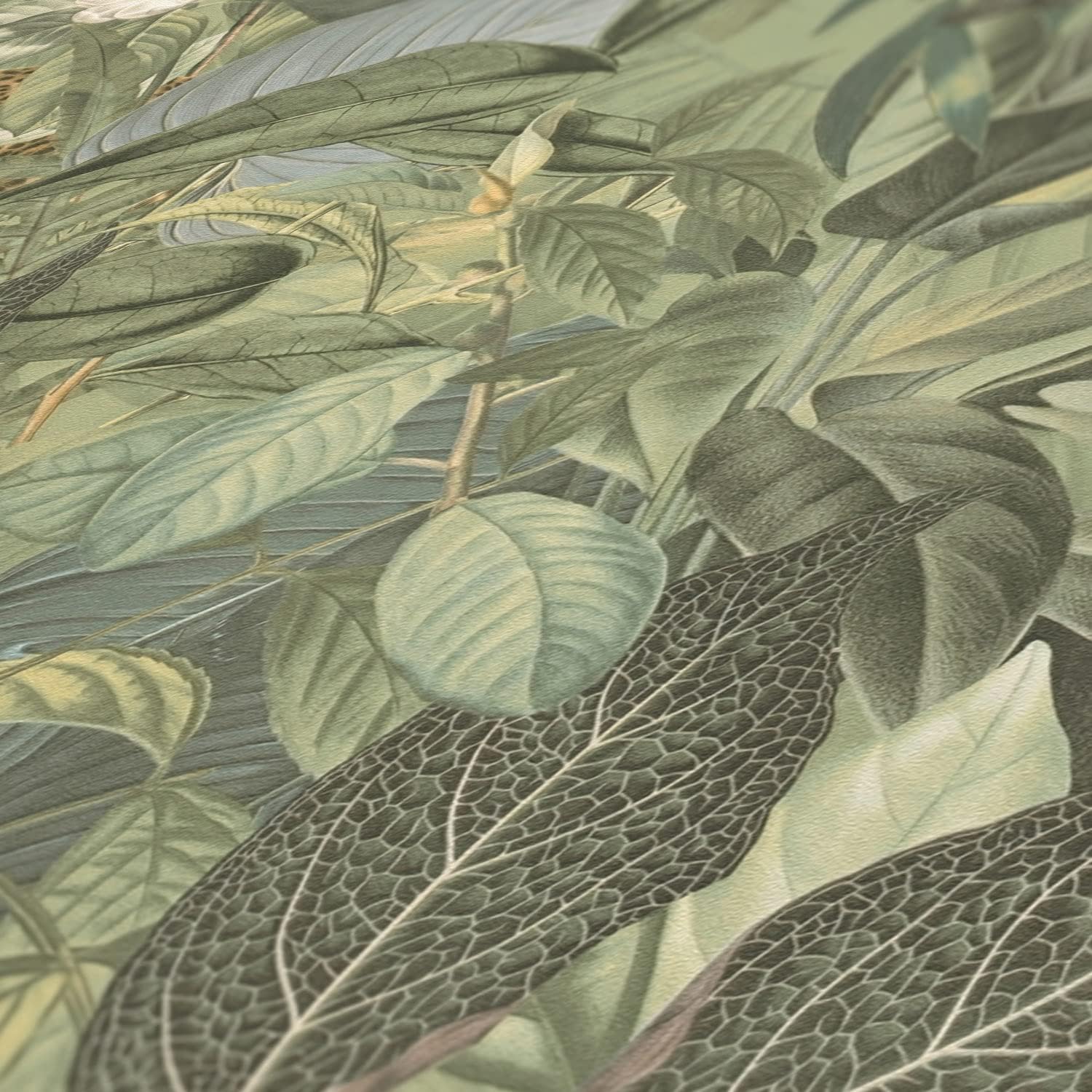 A.S. Création Wallpaper Jungle Design - Green, Gray, Brown - Tropical Wallpaper 395.99in x 20.87in Made in Germany - 387243