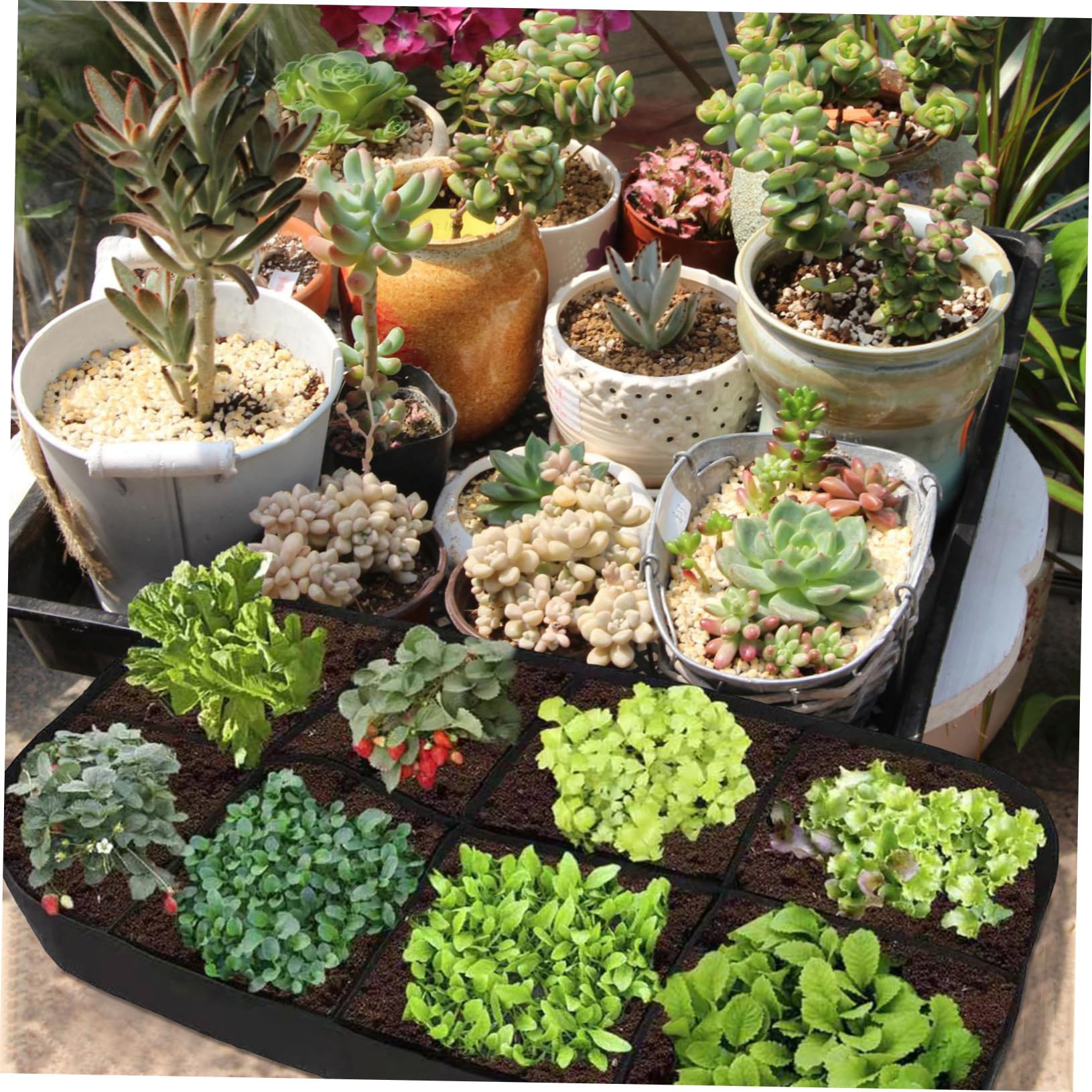 Hochbeet Pflanzsack mit Fächern Schwarzer Filz Atmungsaktiv 1 Mehrkammer Design für Gemüse und Pflanzen für Garten und Balkon