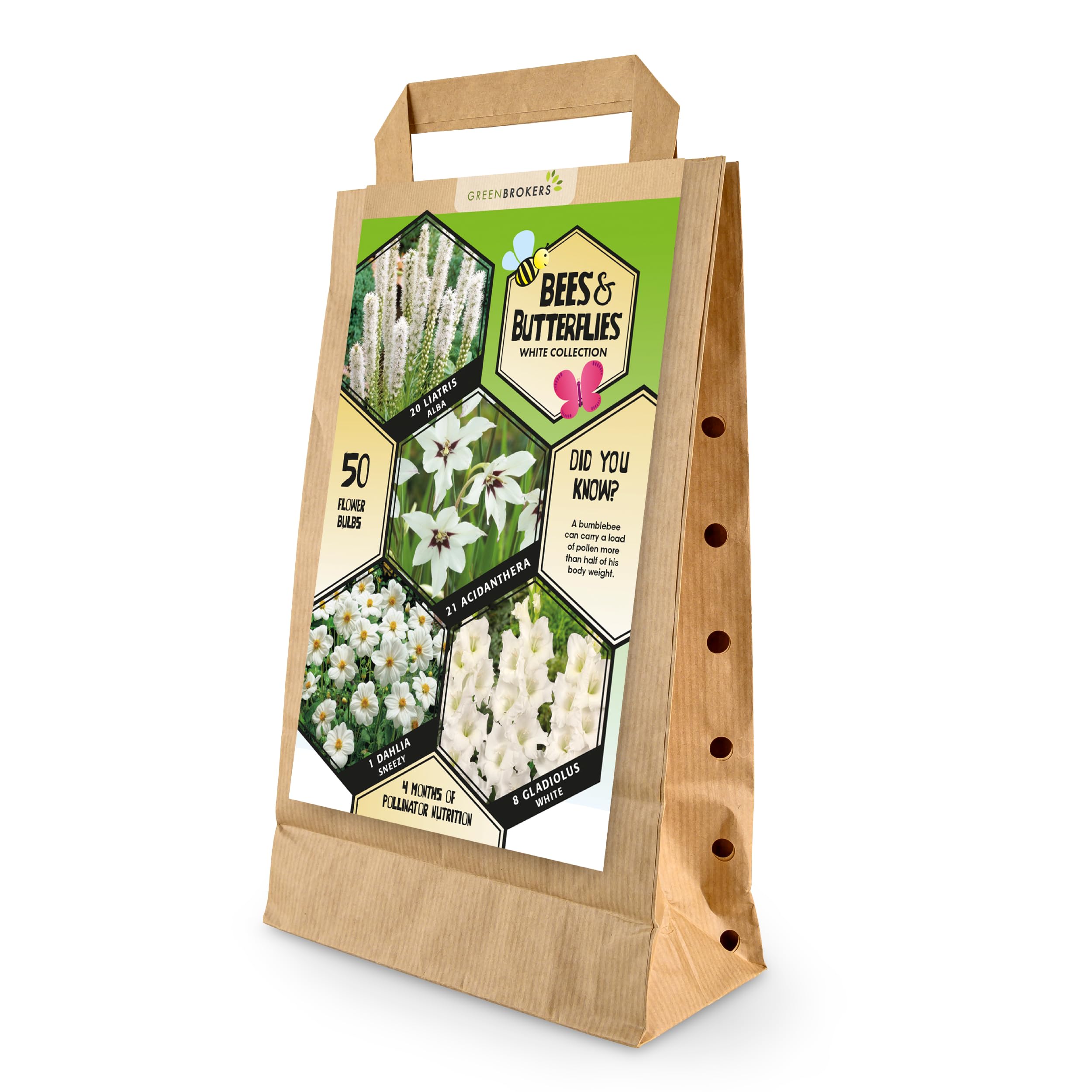 50 Bee & Butterfly Summer Bulb Collection | White Bulb Varieties | Eco Packaging | Plant Now Ready to Bloom in Summer