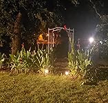 Review Image by Jillian R. White Jillian R. White