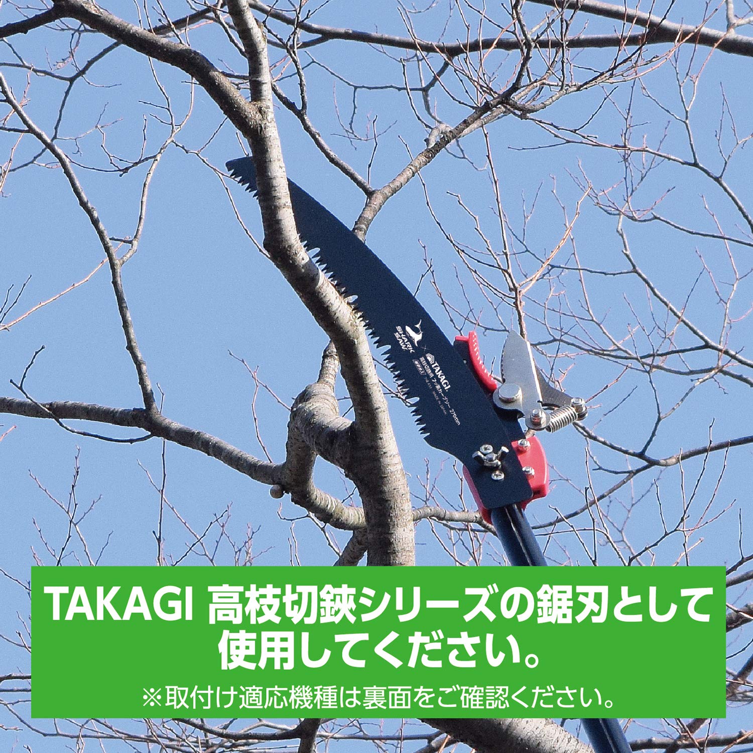 Amazon | 高儀(Takagi) 高枝切鋏用フッ素カーブソー替刃 270mm 1枚入
