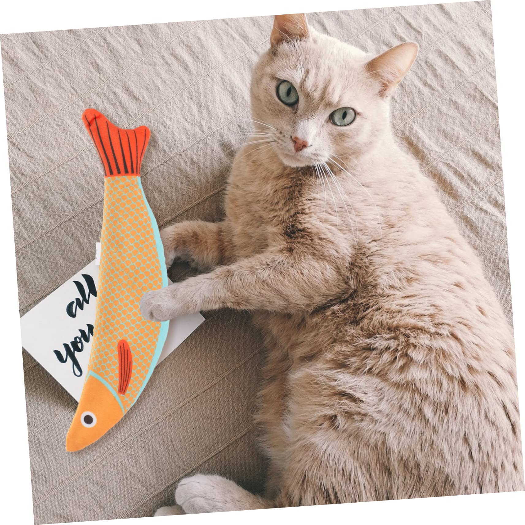 YARNOW Jouet à L’Herbe à Chat en Peluche pour Chat, Forme Poisson, à Mâcher, à Griffer, pour Jouer et Se Divertir Longtemps