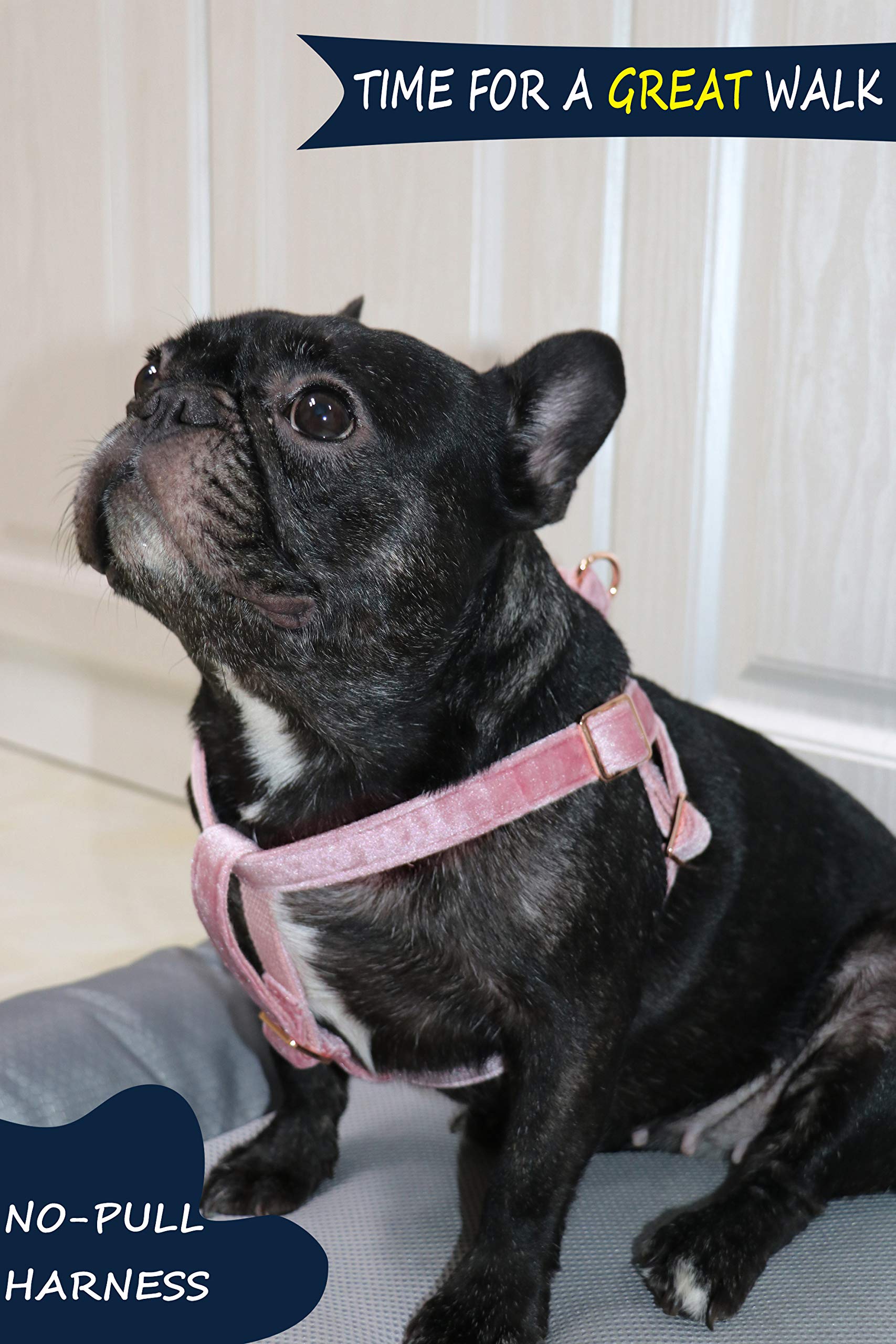 ARING PET Arnés halter de terciopelo sin tirones para perro, ajustable y resistente para perros pequeños a grandes