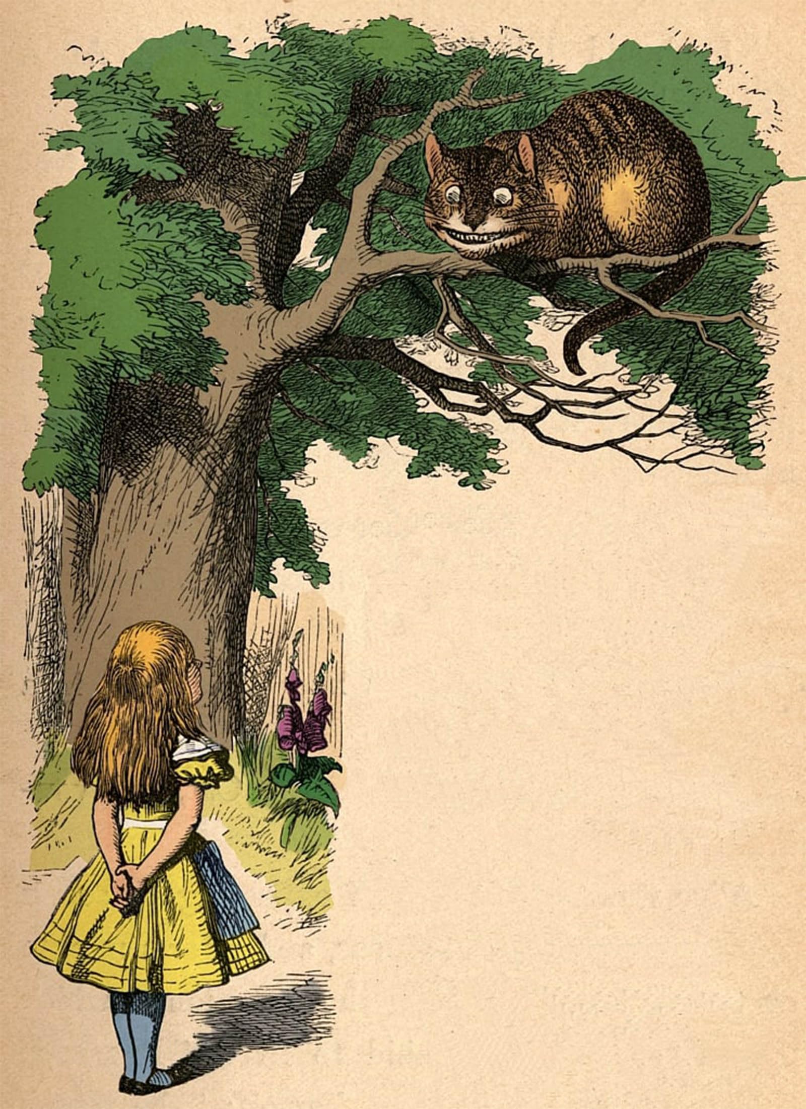 ARTXLXXBN Famous Prints Artwork Pictures Poster Painting Art Alice and the Cheshire Cat by Tenniel Artwork Landscape Pictures for Home Decor 60x90cm