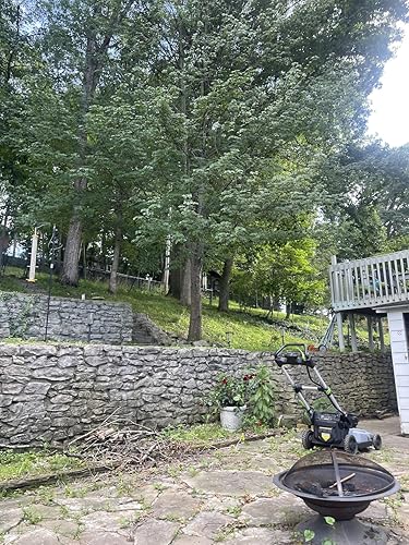 Review Image by Bond007